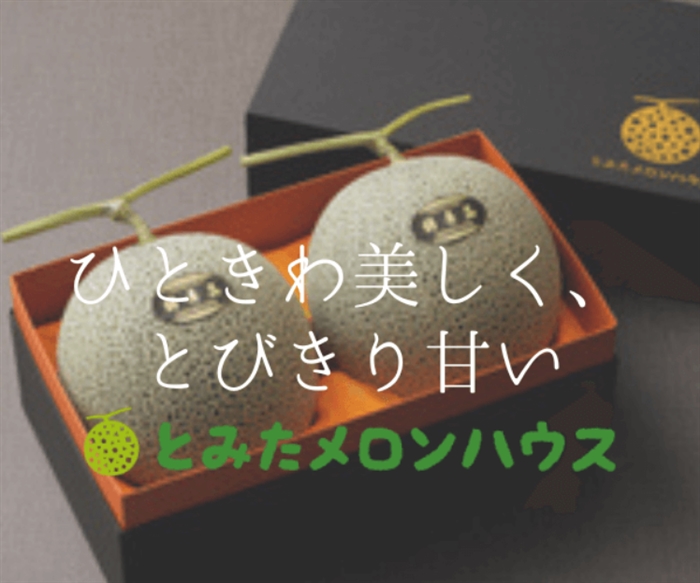 北海道 富良野メロンと旬の野菜を新鮮なまま産地直送【とみたメロンハウス】
